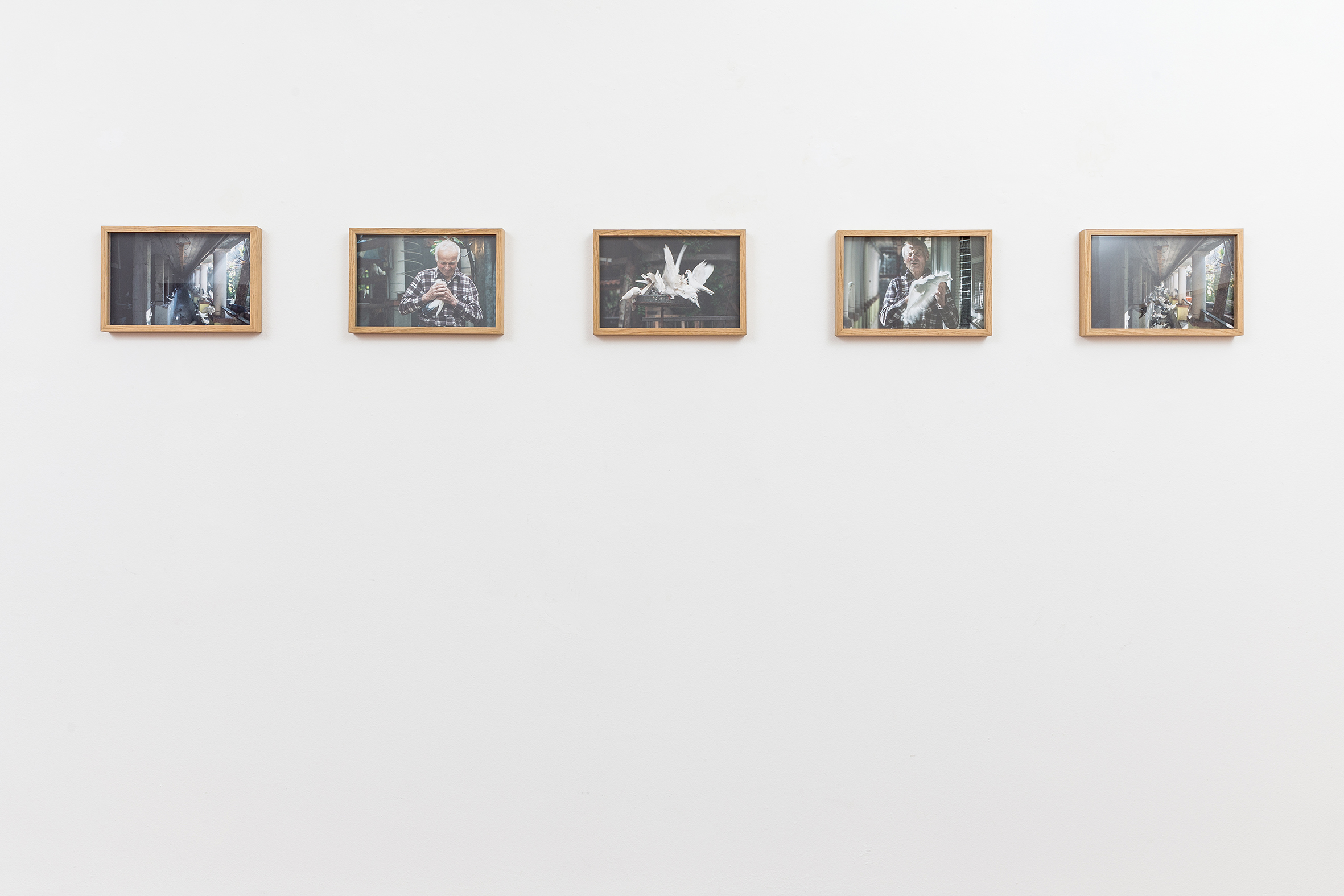 Emma Ciceri, Almerino vola, 2015, stampa su carta cotone, cm 21 x 31,7 ciascuna, serie di 5, courtesy Galleria Riccardo Crespi.