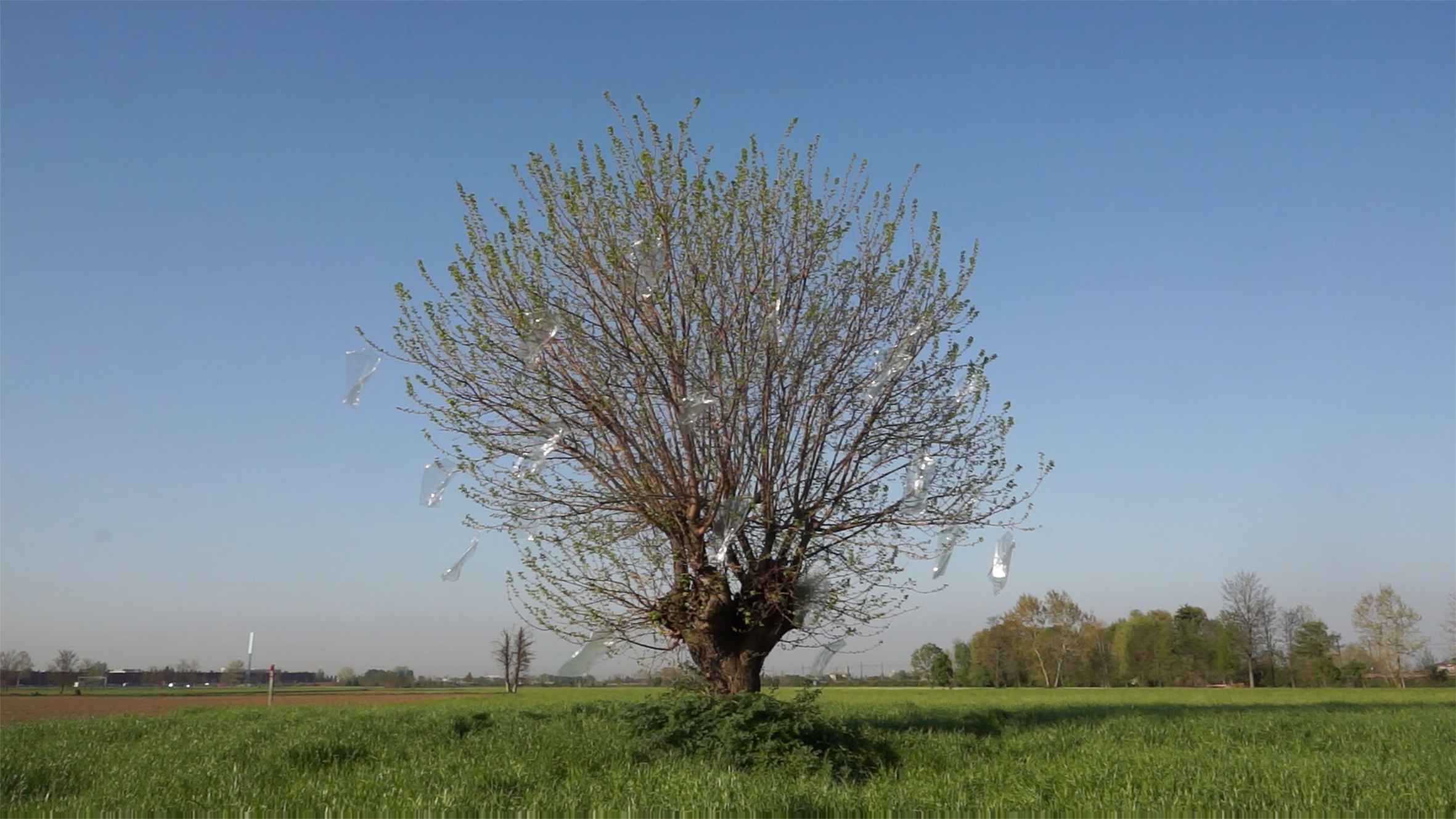 Emma Ciceri, Non potete andare via anche se il vento a poco a poco vi sconvolge, 2019, video loop, colore e sonoro, courtesy Galleria Riccardo Crespi.