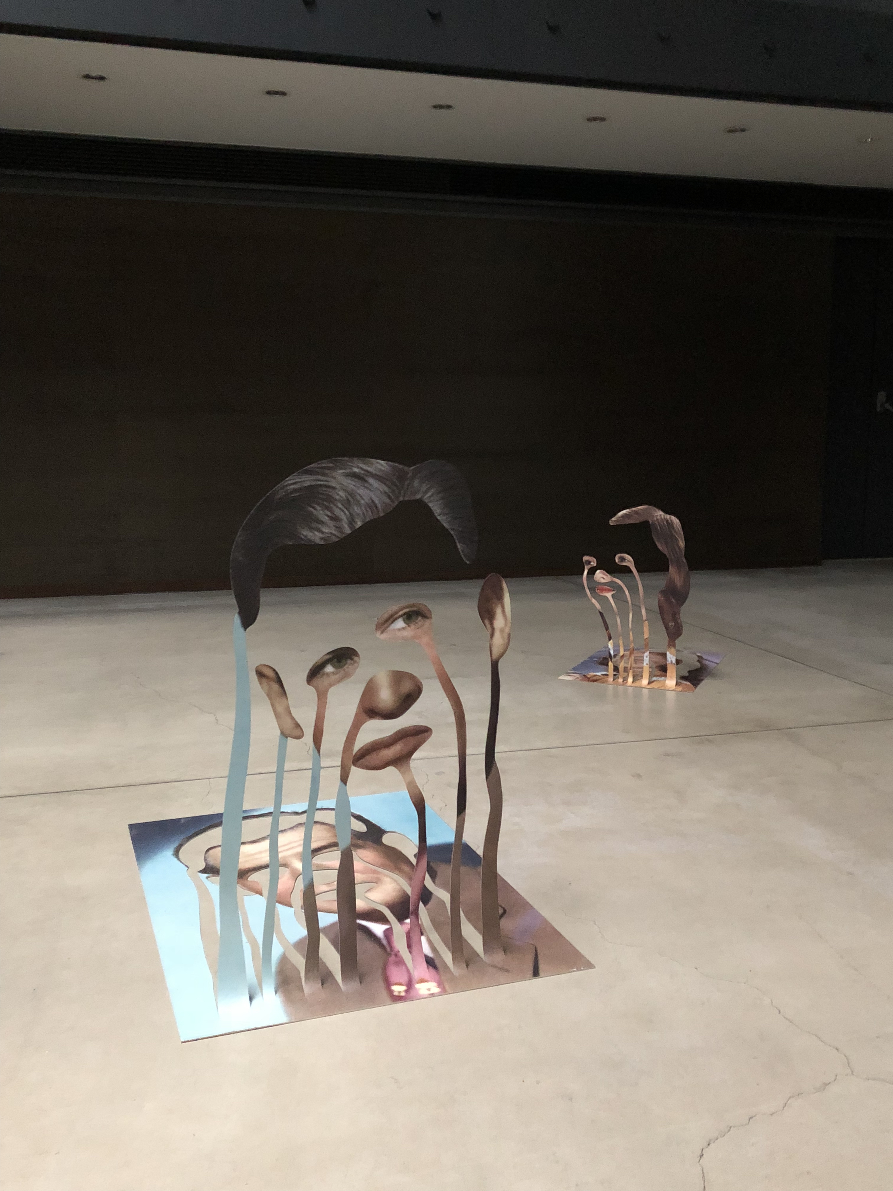 Kensuke Koike, Ikebana, 2018, stampa su alluminio, misure variabili, veduta dell’installazione a Asama International Photo.