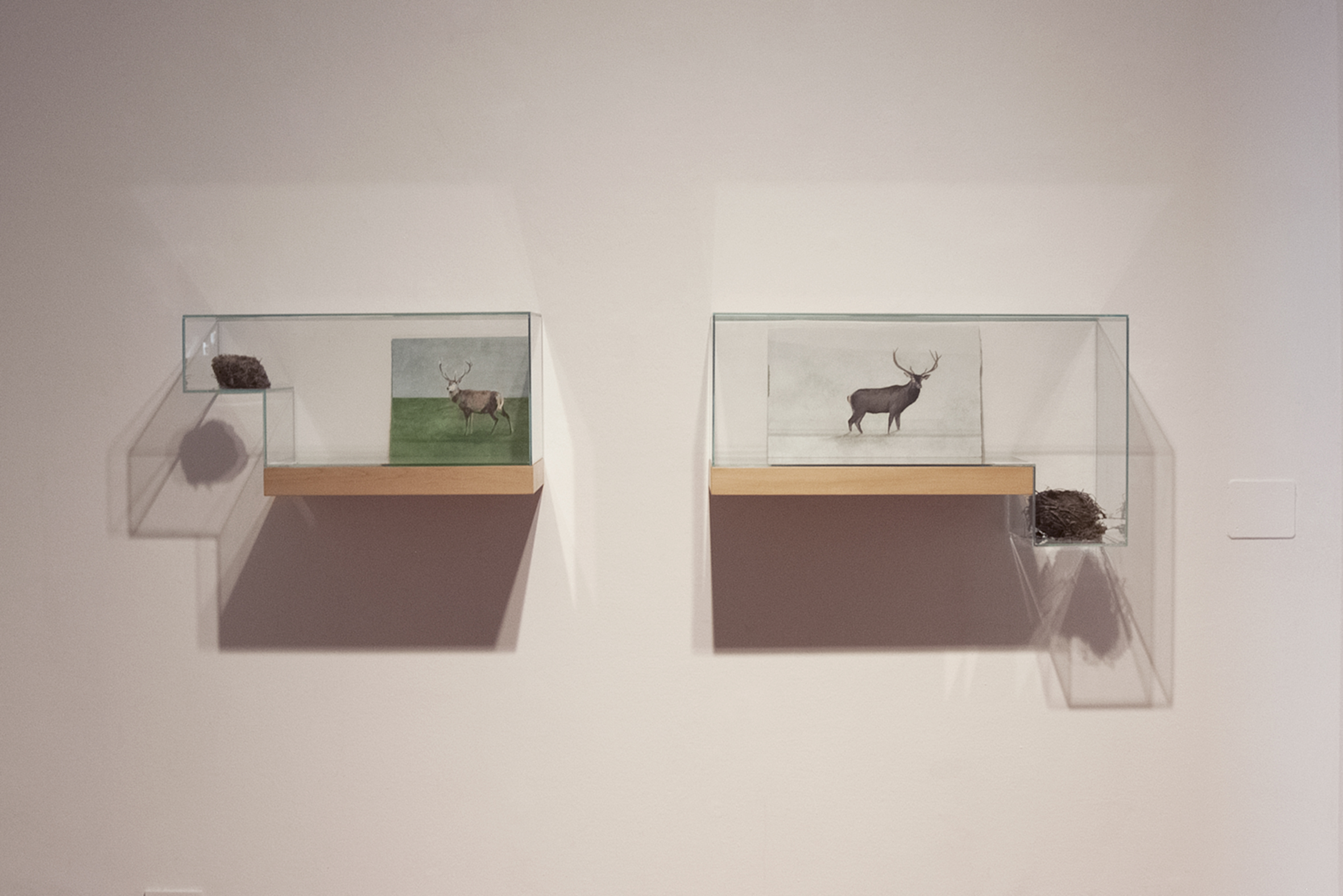 Emma Ciceri, Senza titolo, 2019, olio su carta, cancellatura su carta, nido trovato, vetro, legno, due elementi cm 34 x 65 x 30 e 34 x 78 x 30, courtesy Galleria Riccardo Crespi