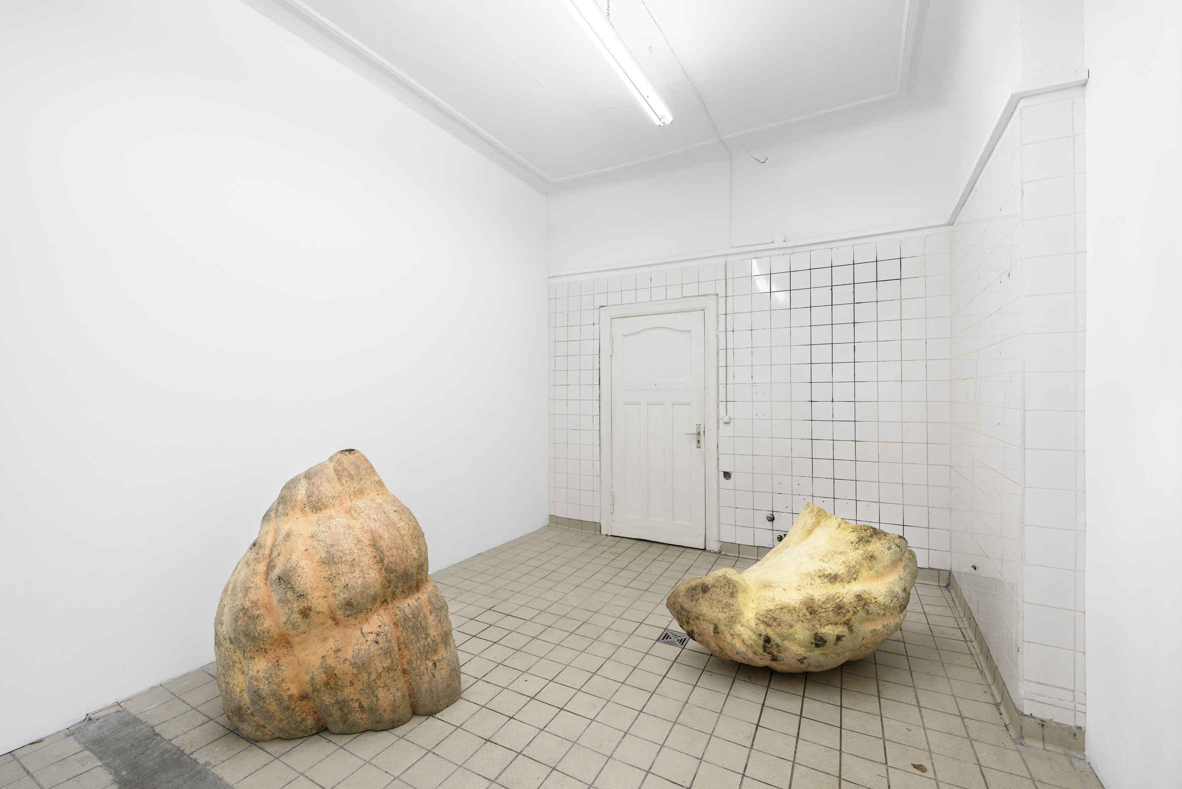 Namsal Siedlecki, Spermoderm, 2016, zucca, semi di zucca, nichel, dimensioni variabili, courtesy l'artista e Frankfurt am Main, Berlino. Foto di Trevor Lloyd.