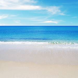 Mare